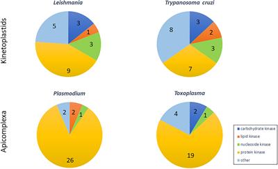 Released Parasite-Derived Kinases as Novel Targets for Antiparasitic Therapies